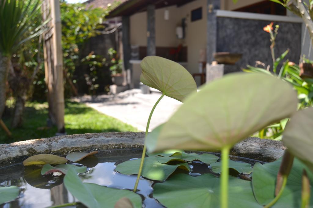 Sakha House Hotel Ubud  Ngoại thất bức ảnh
